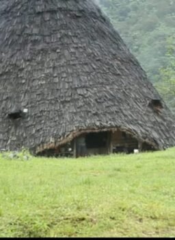 Flores Island