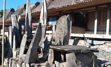 bajawa moni village