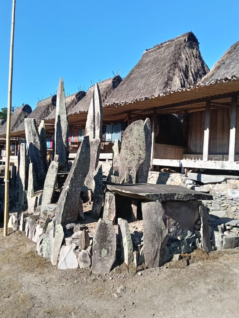 bajawa moni village
